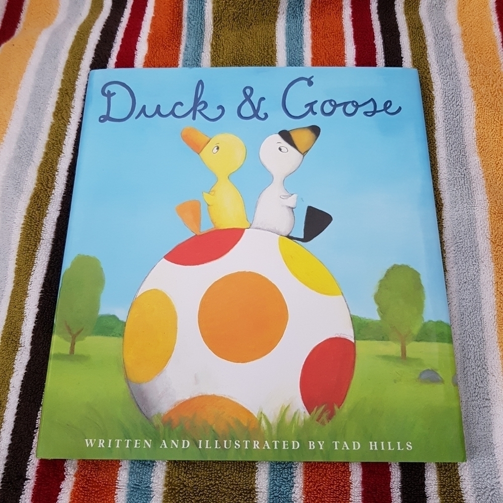 Duck & Goose child book A Schwartz Wade